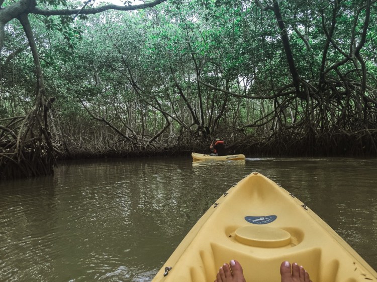 Parque Nacional Los Haitises