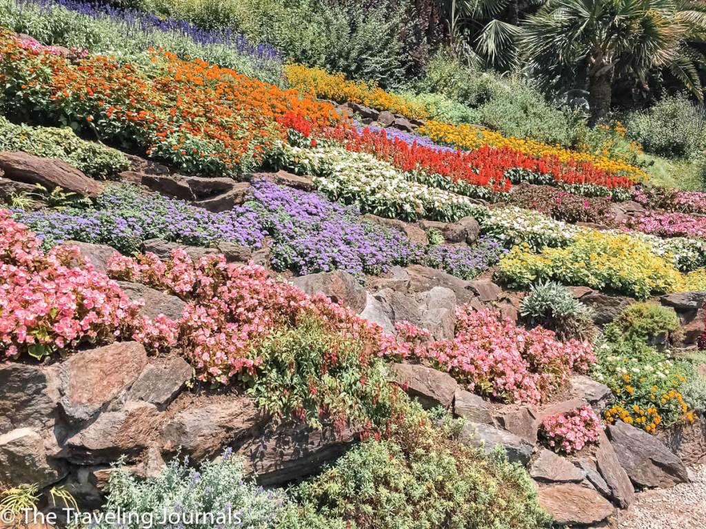 Botanical Garden in Villa Carlotta ,Jardin Botanico en Villa Carlotta