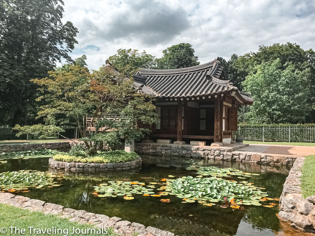 summer in Frankfurt, Verano en Frankfurt, Verano en Francfort, exploring frankfurt,solo travel in Germany, mochilera en Frankfurt, Mochilera en Alemania, Palmergarten, jardin botanico en frankfurt,jardin botanico de alemania