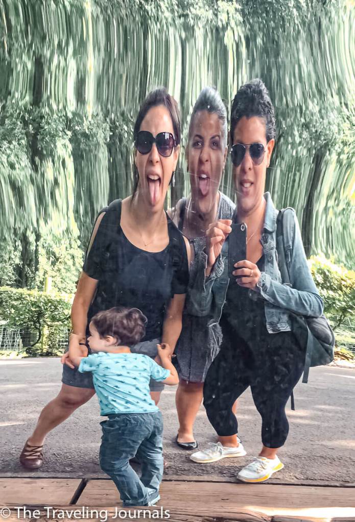 germany, alemania, dominican republic, santo domingo, summer in Haßloch, rhineland, Reinaina, dominicana, speyer, speyer cathedral, catedral de Speyer, ciudad Speyer, summer in Speyer, dominicana, dominican, backpacker in germany, first time in germany, primera vez en alemania, mochilera en alemania, solo traveler, female solo travel, kids, children, amusement park, parque de diversiones, parque natural, parque de verano, tobogan, toboggan,rollorcoaster, coaster, montaña rusa, alfombra magica, wildlife, Kurpfalz-Park, parque Kurpfalz, diversion, fun day, lagoon, laguna, boatrides, paseo en bote de pedales